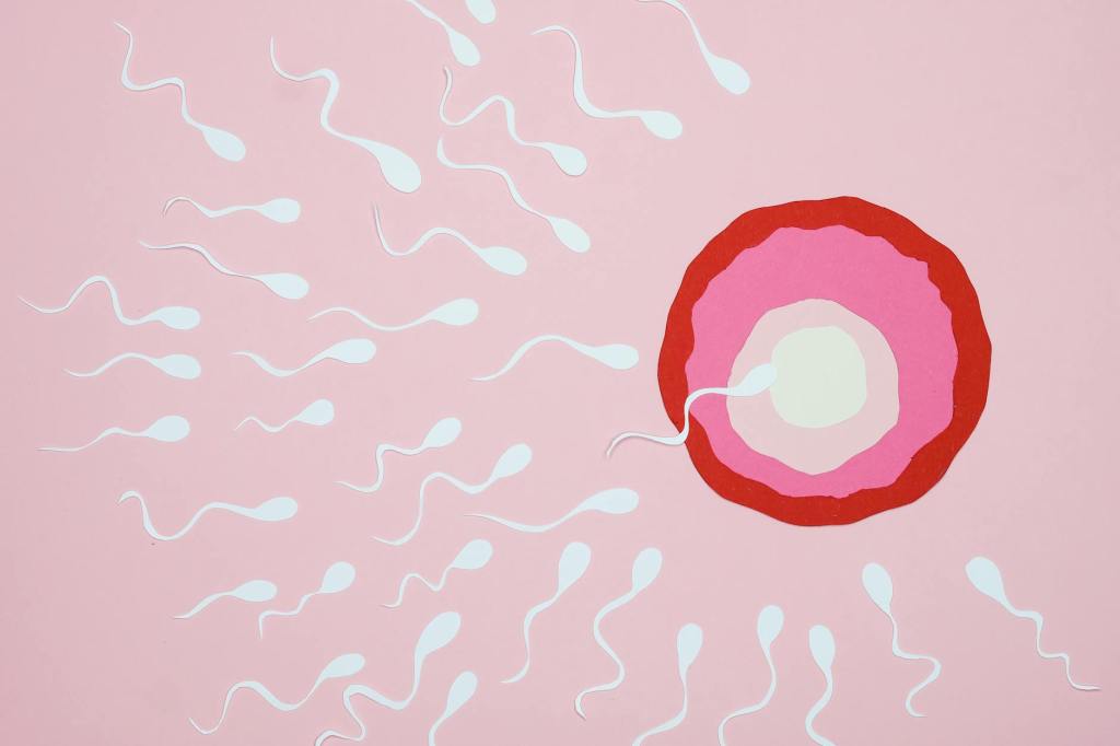 Boost Your Fertility: 10 Surprising Ways Sperm Count Increases Tablets Can Transform Your&nbsp;Life!